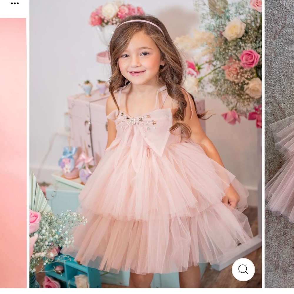 Marias Sky Butterfly Tulle Pink Princess Dress Excellent Condition Sz 5/6